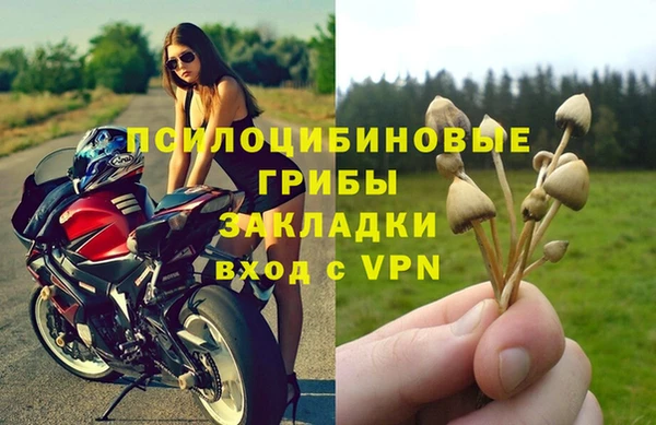 MESCALINE Горняк