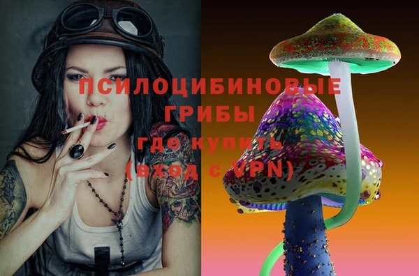 винт Горно-Алтайск