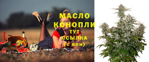 винт Горно-Алтайск