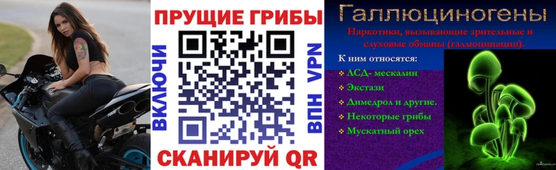 наркота  hydra зеркало  Галлюциногенные грибы MAGIC MUSHROOMS  Санкт-Петербург 