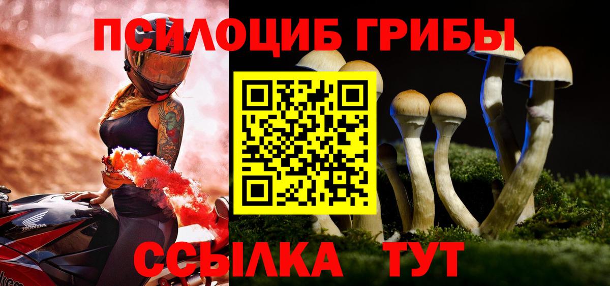 Галлюциногенные грибы GOLDEN TEACHER  Вход с VPN  Санкт-Петербург 